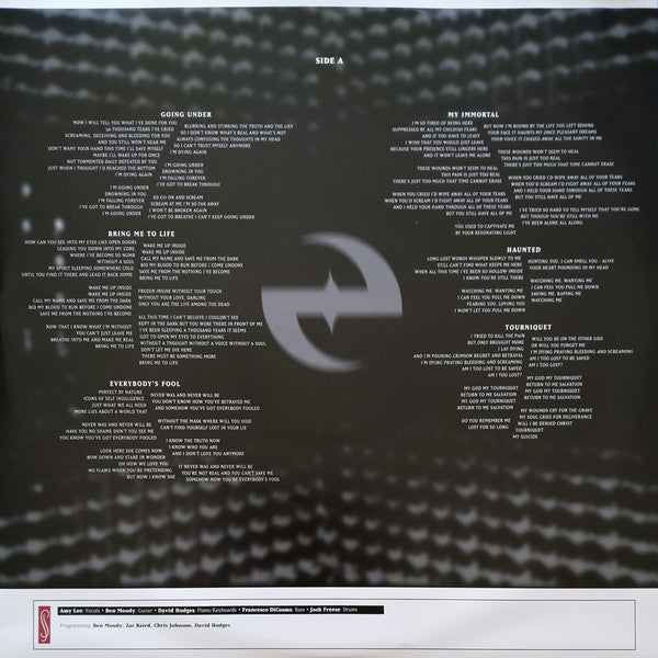 Evanescence -Fallen