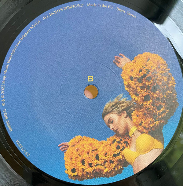 Pommelien Thijs - Per Ongeluk