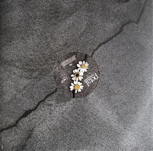 Ariana Grande -Petal