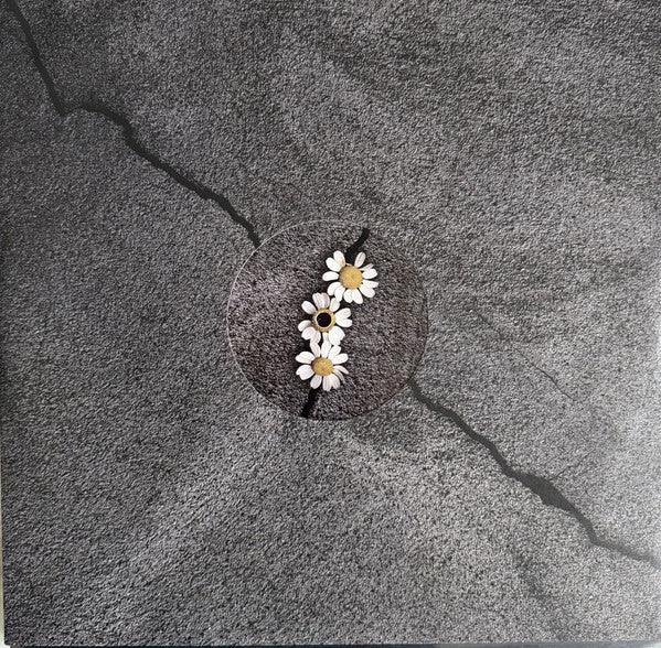Ariana Grande -Petal