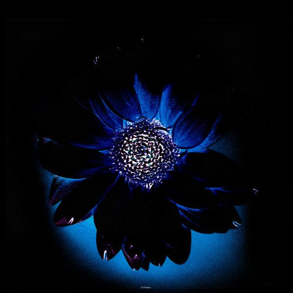 Rammstein - Herzeleid