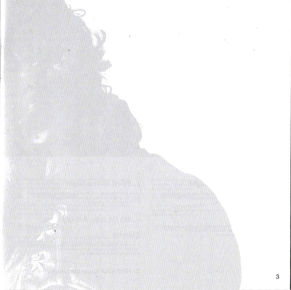 Bruce Springsteen -The Essential Bruce Springsteen