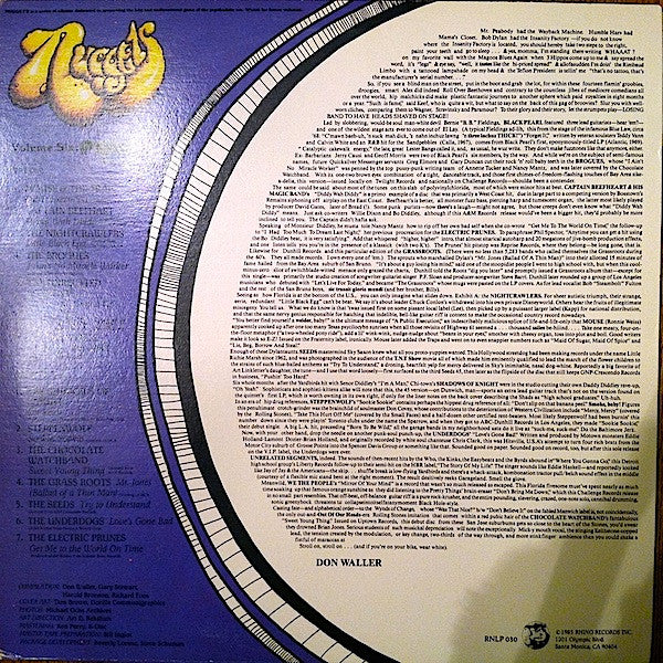 Various - Nuggets Volume Six: Punk, Part II