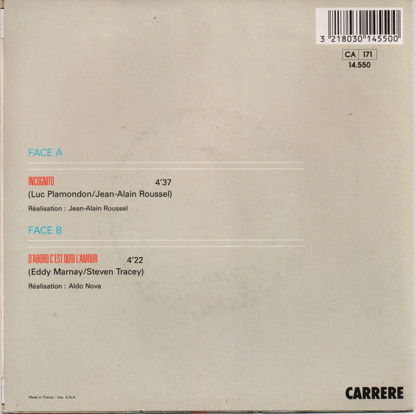 Céline Dion - Incognito