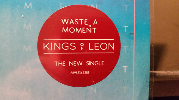 Kings Of Leon -Waste A Moment