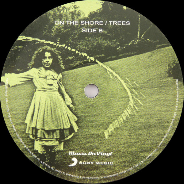 Trees (3) -On The Shore