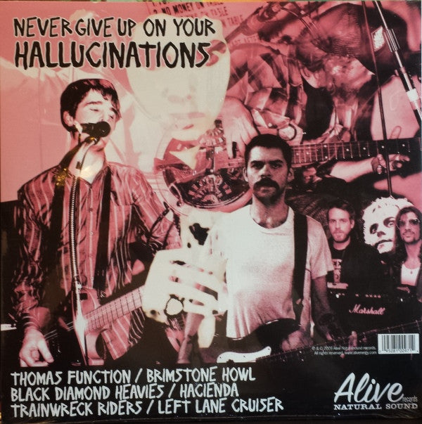 Various -Never Give Up On Your Hallucinations