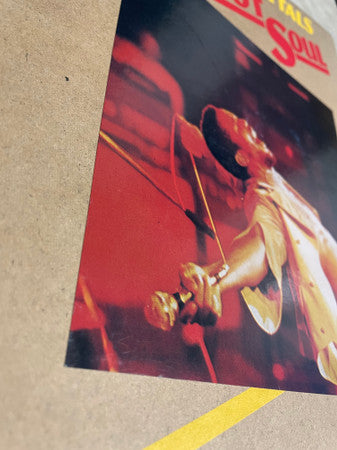 Toots &amp; The Maytals - Reggae Got Soul