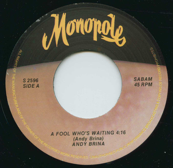 Andy Brina -A Fool Who's Waiting / Hold Me Now