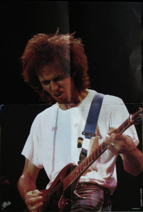 Jean-Jacques Goldman -En Public