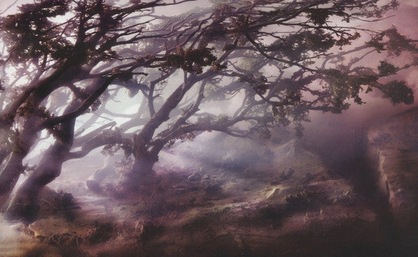 Joanna Newsom -Divers
