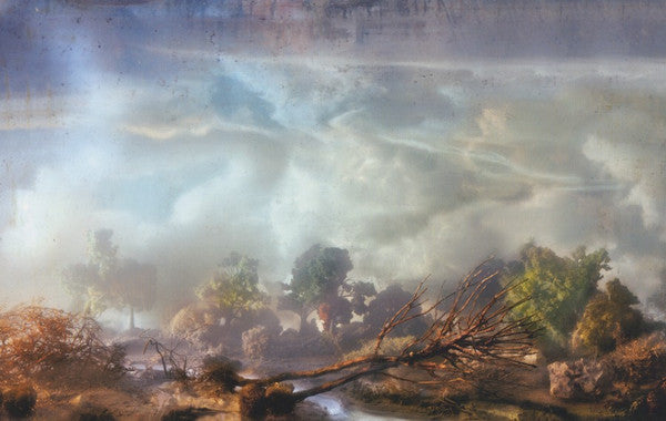 Joanna Newsom -Divers