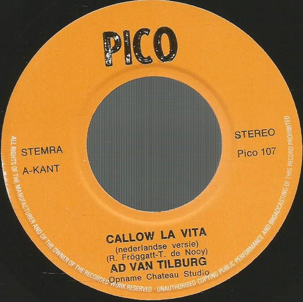 Ad van Tilburg -Callow La Vita