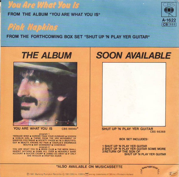 Frank Zappa -You Are What You Is