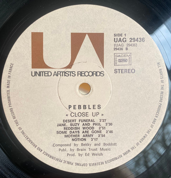The Pebbles -Close Up
