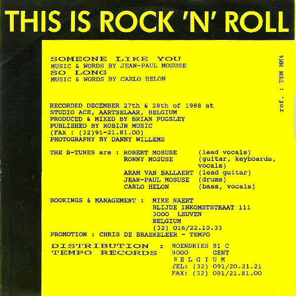 The B-Tunes - Someone Like You