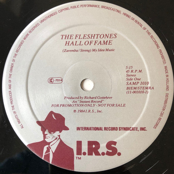 The Fleshtones -Hall Of Fame
