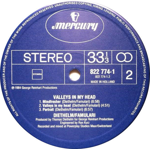 Diethelm* / Famulari* - Valleys In My Head