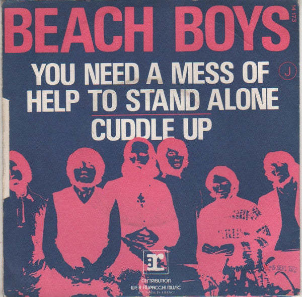 The Beach Boys -You Need A Mess Of Help To Stand Alone