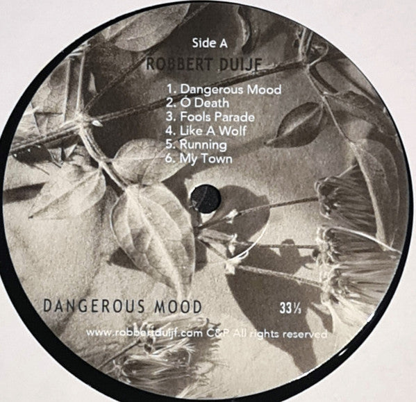 Robbert Duijf -Dangerous Mood