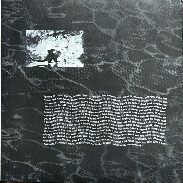 Nirvana -Nevermind