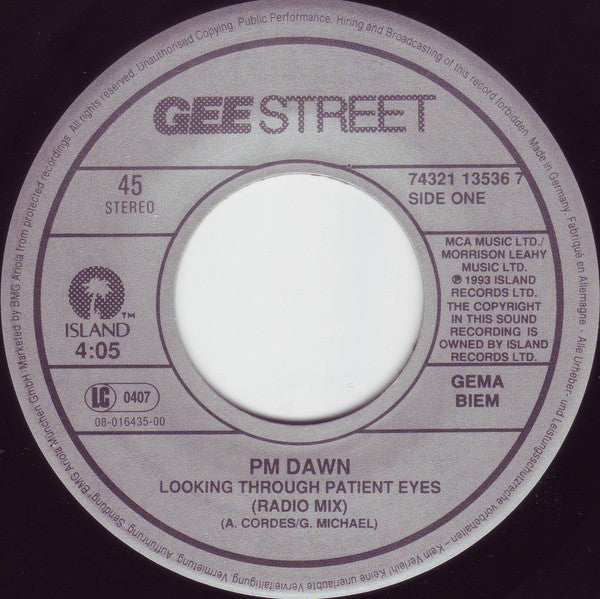 P.M. Dawn -Looking Through Patient Eyes