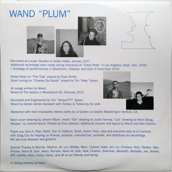 Wand (2) -Plum