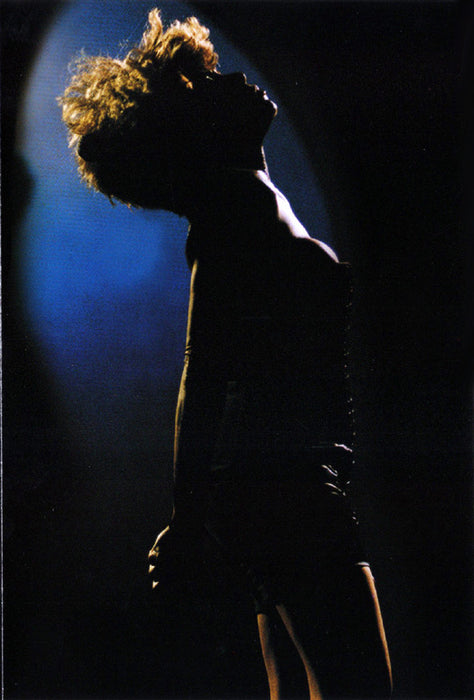 Tina Turner -Live In Amsterdam / Celebrate / Live In Rio