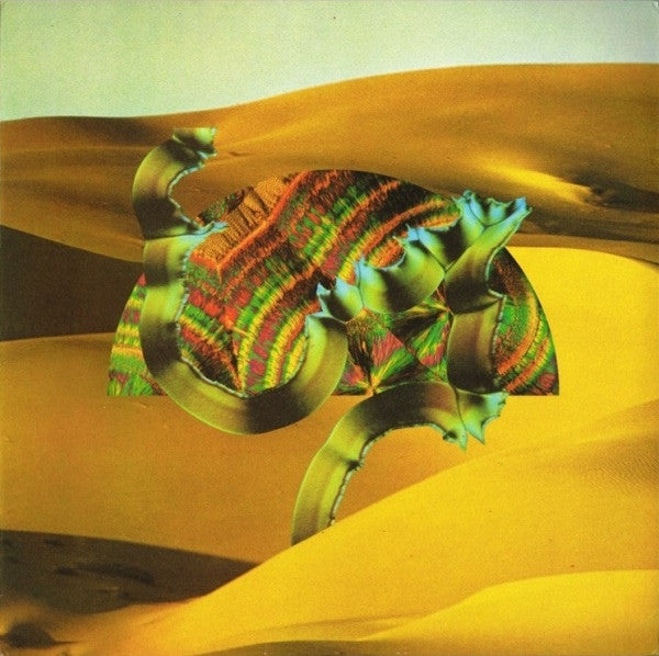 Django Django -Django Django