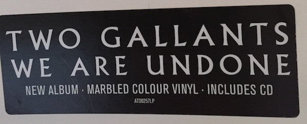 Two Gallants -We Are Undone