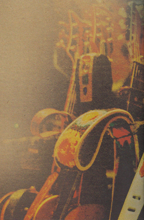 Robert Plant &  The Band Of Joy* -Live From The Artists Den