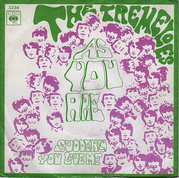 The Tremeloes -As You Are