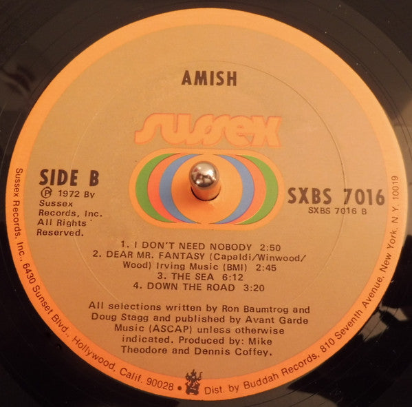 Amish -Amish