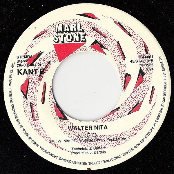 Walter Nita -Mad Man's Discotheque