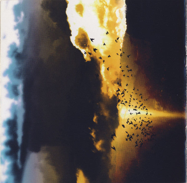 Eye Of Solitude -Sui Caedere