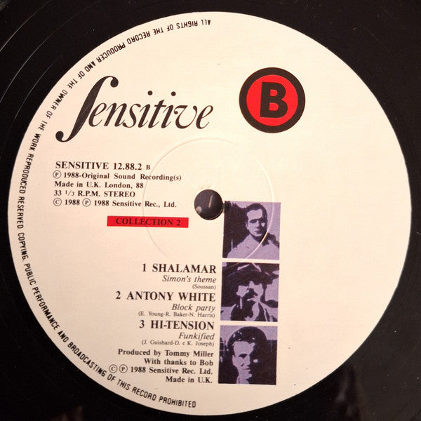 Various - Sensitive Collection 2