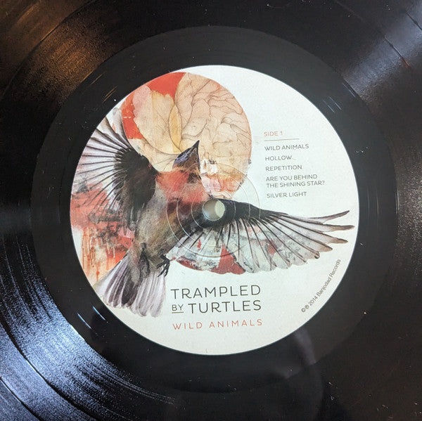 Trampled By Turtles -Wild Animals