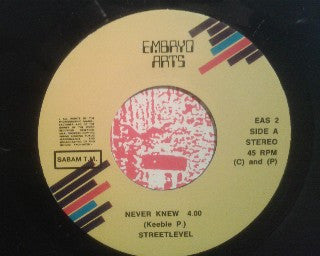 Streetlevel -Never Knew / Finish Of The Bliss