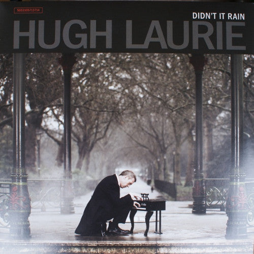 Hugh Laurie -Didn't It Rain