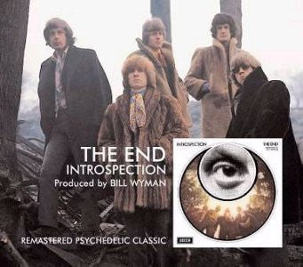 The End* -Introspection
