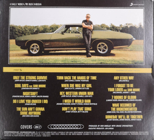 Springsteen* -Only The Strong Survive (Covers Vol. 1)