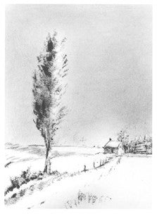 Various - Here's To Y'All, Snowflakes!!