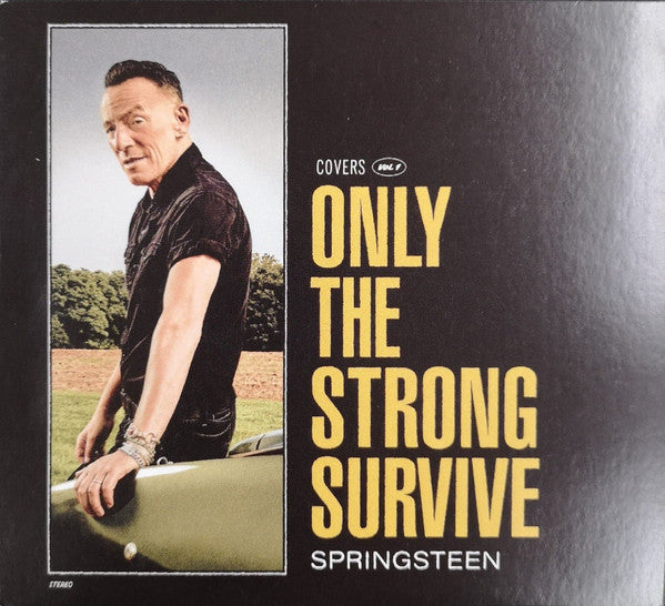 Springsteen* -Only The Strong Survive (Covers Vol. 1)