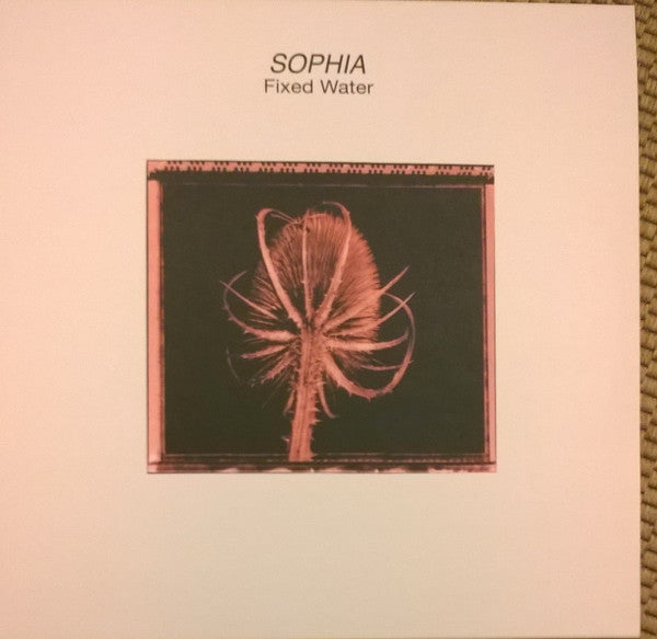 Sophia (3) -Fixed Water