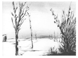 Various - Here's To Y'All, Snowflakes!!