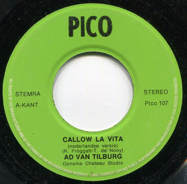 Ad van Tilburg - Callow La Vita