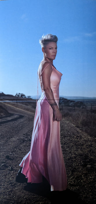 P!NK -Trustfall