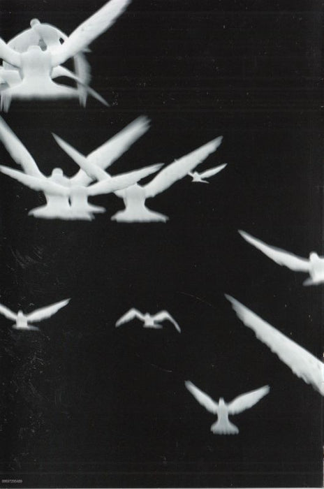 Celine Dion* -A New Day... Live À Las Vegas