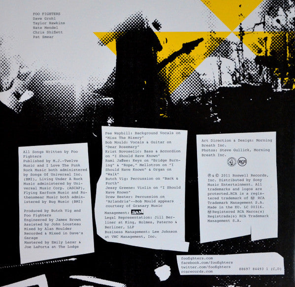 Foo Fighters -Wasting Light