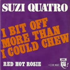 Suzi Quatro -I Bit Off More Than I Could Chew